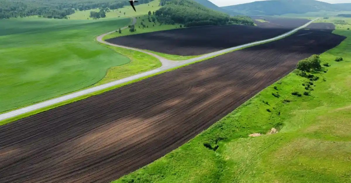 cik maksā zemes robežu plāns latvijā